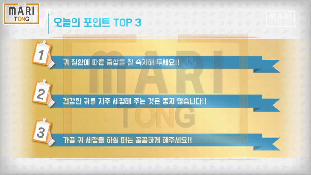 강아지 귀 세정제