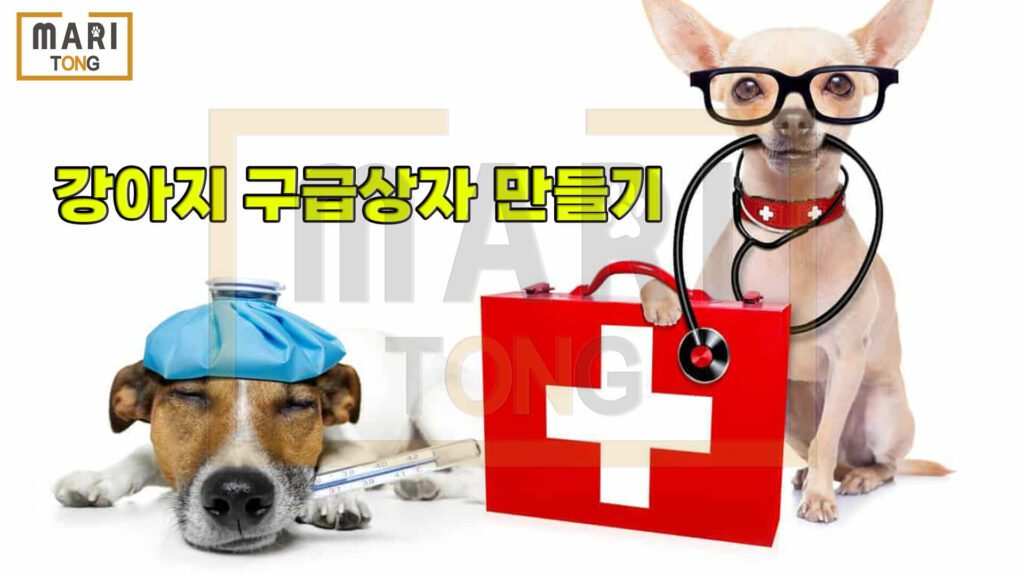 강아지-동물병원-강아지-구급상자