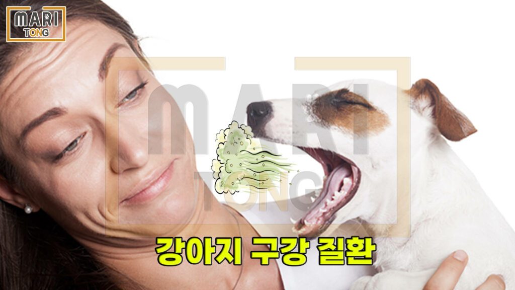 강아지-동물병원-강아지-입냄새