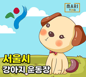 서울-강아지-운동장-놀이터