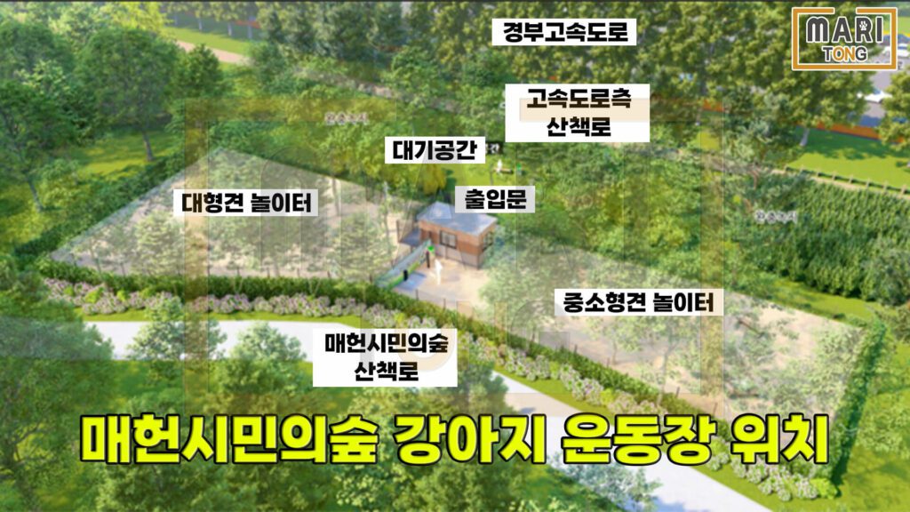 서울-강아지-놀이터-매헌시민의숲