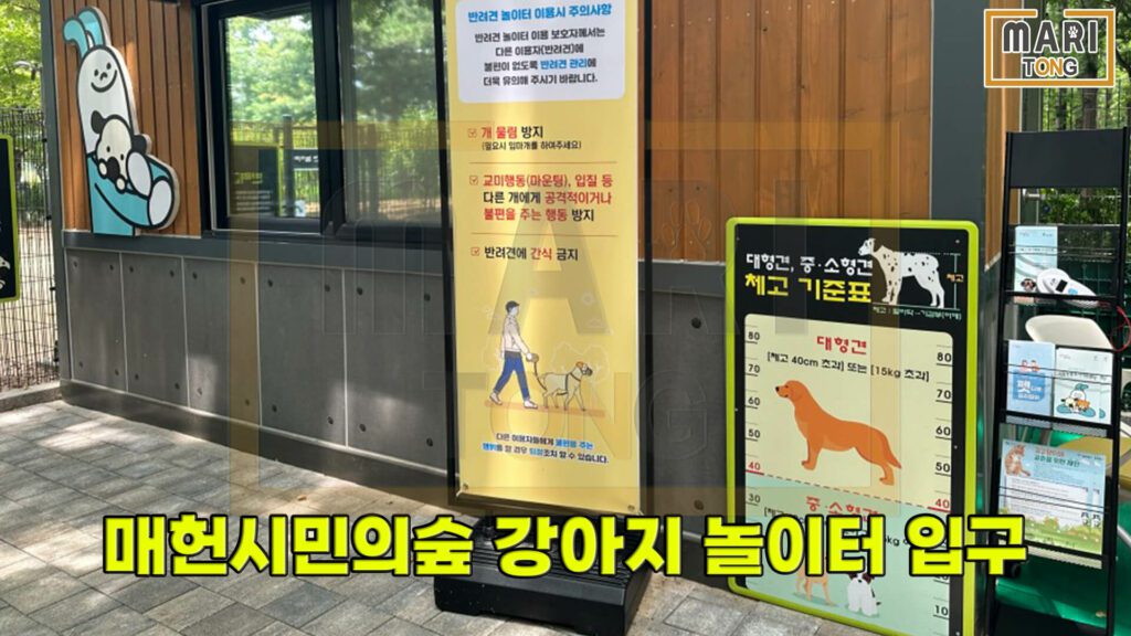 서울-애견-운동장-매헌시민의숲