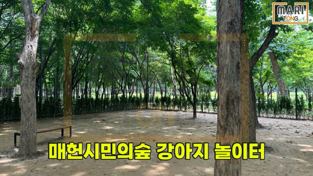서울시-서초구-매헌시민의숲-반려견-놀이터