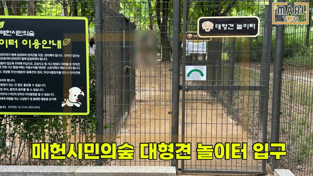 서울시-서초구-매헌시민의숲-애견-운동장