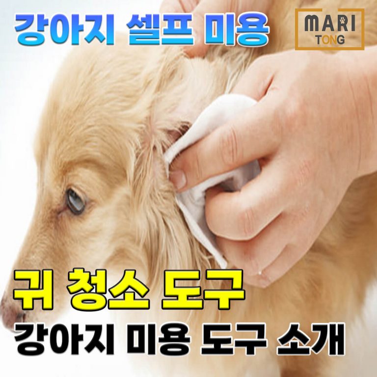 강아지 셀프미용 강아지 귀청소 도구 소개