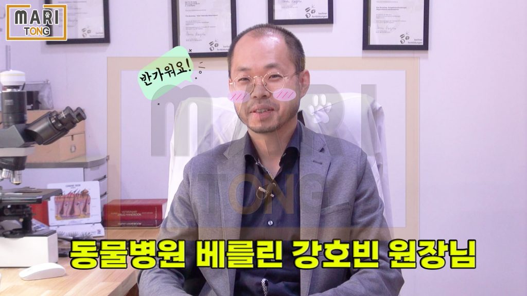 강아지 동물병원 베를린 강호빈 원장님