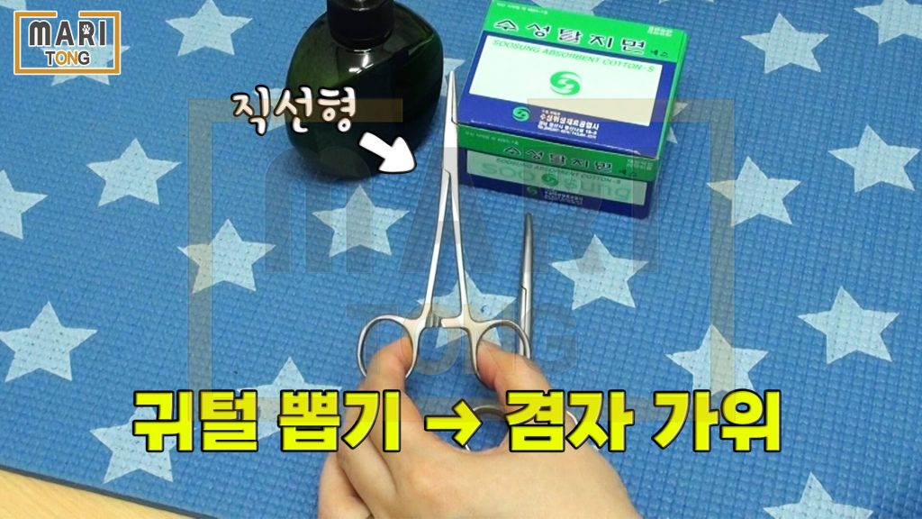 강아지 셀프미용 강아지 귀청소 도구 겸자 가위