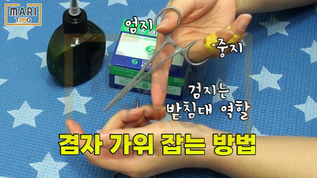 강아지 셀프미용 강아지 귀청소 도구 겸자가위 사용 방법
