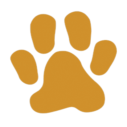 강아지 동물병원 의료 정보 - 마리통