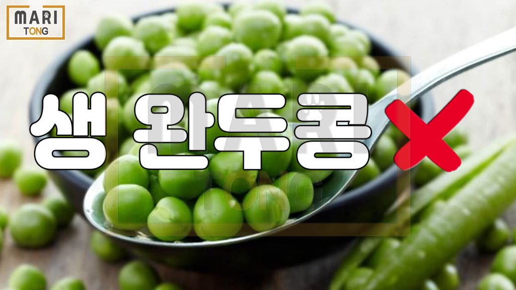 강아지 동물병원 강아지에게 안 좋은 음식 생 완두콩
