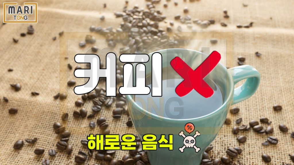 강아지 동물병원 강아지에게 해로운 음식 커피