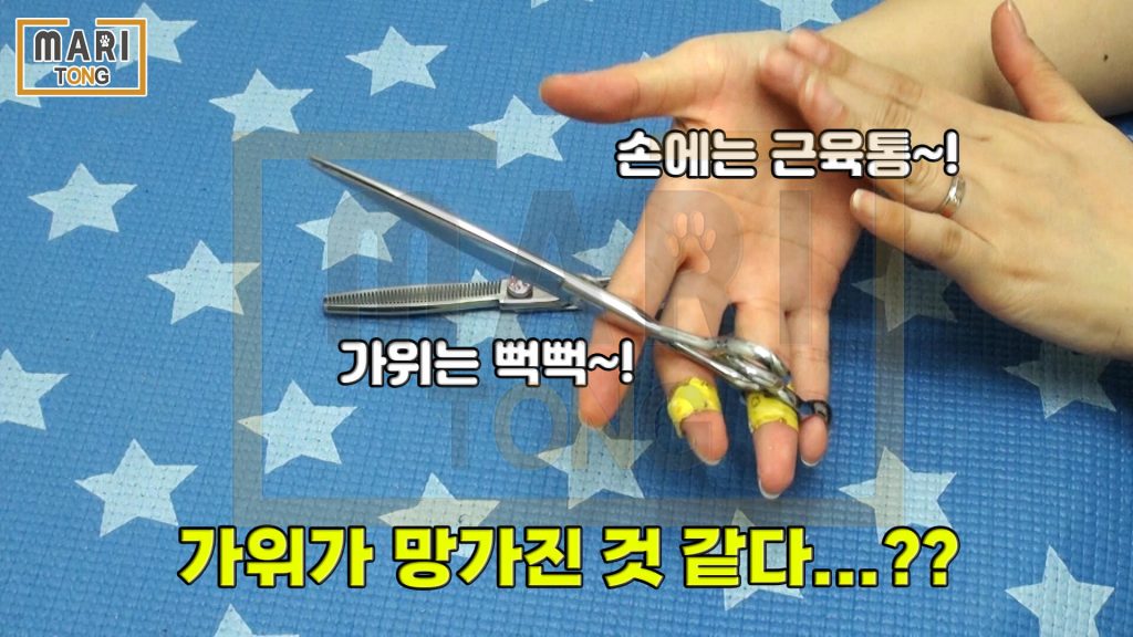 강아지 셀프미용 도구 강아지 미용 가위 추천