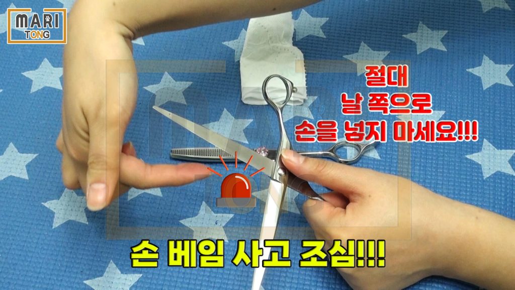 강아지 셀프미용 강아지 미용가위 숱가위