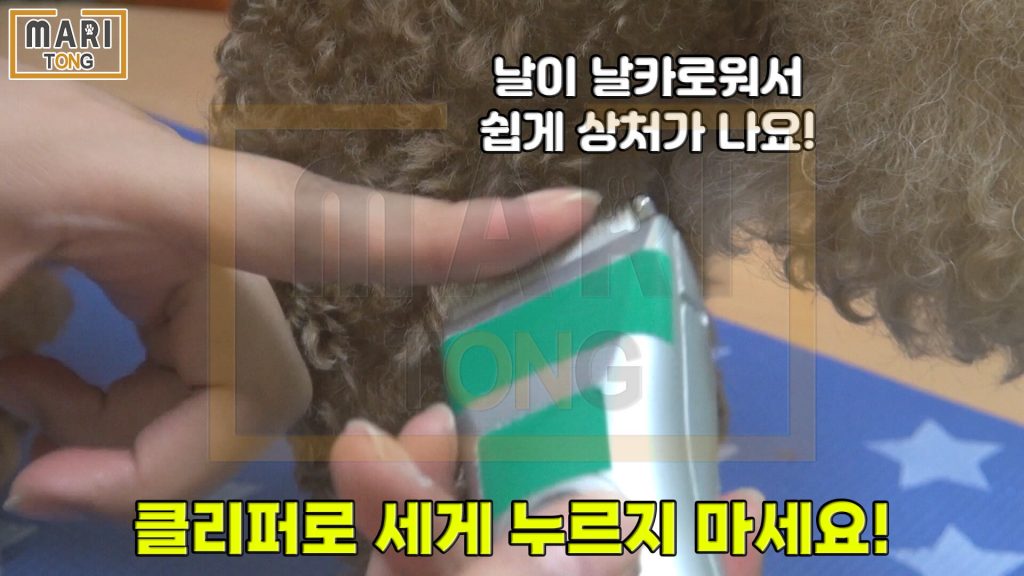 강아지 셀프미용 강아지 발미용 하는 방법