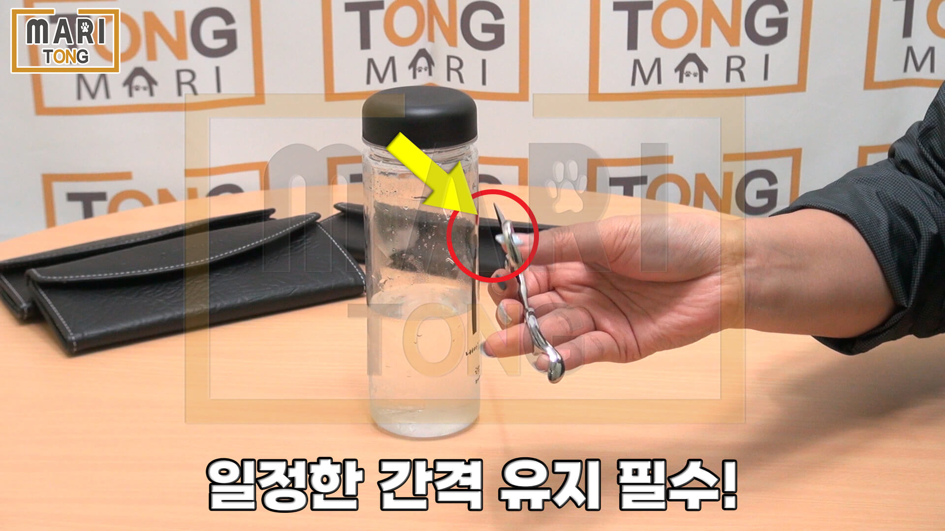 강아지 셀프미용 강아지 미용 가위 쓰는 방법
