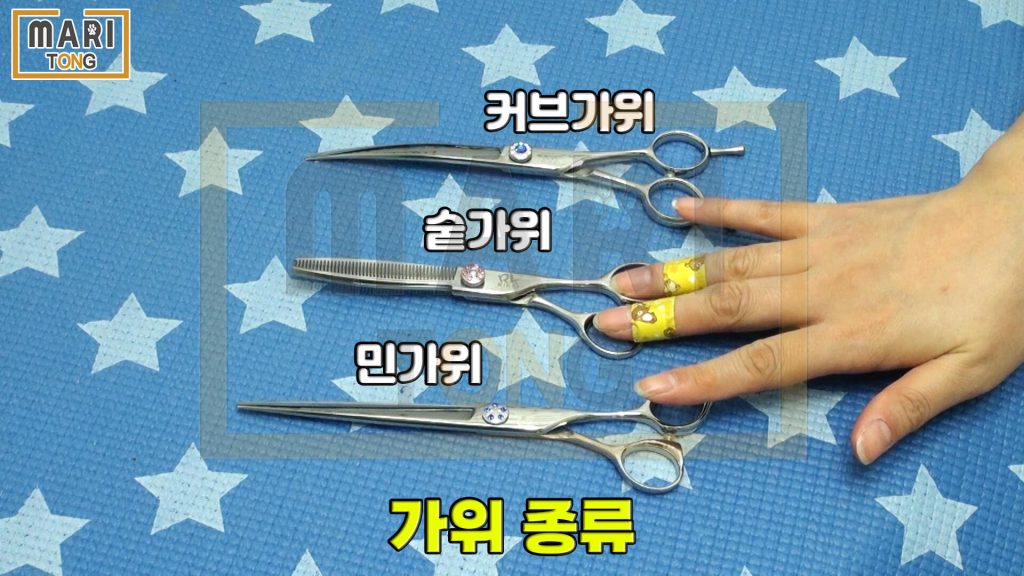 강아지 셀프미용 강아지 미용 가위 종류