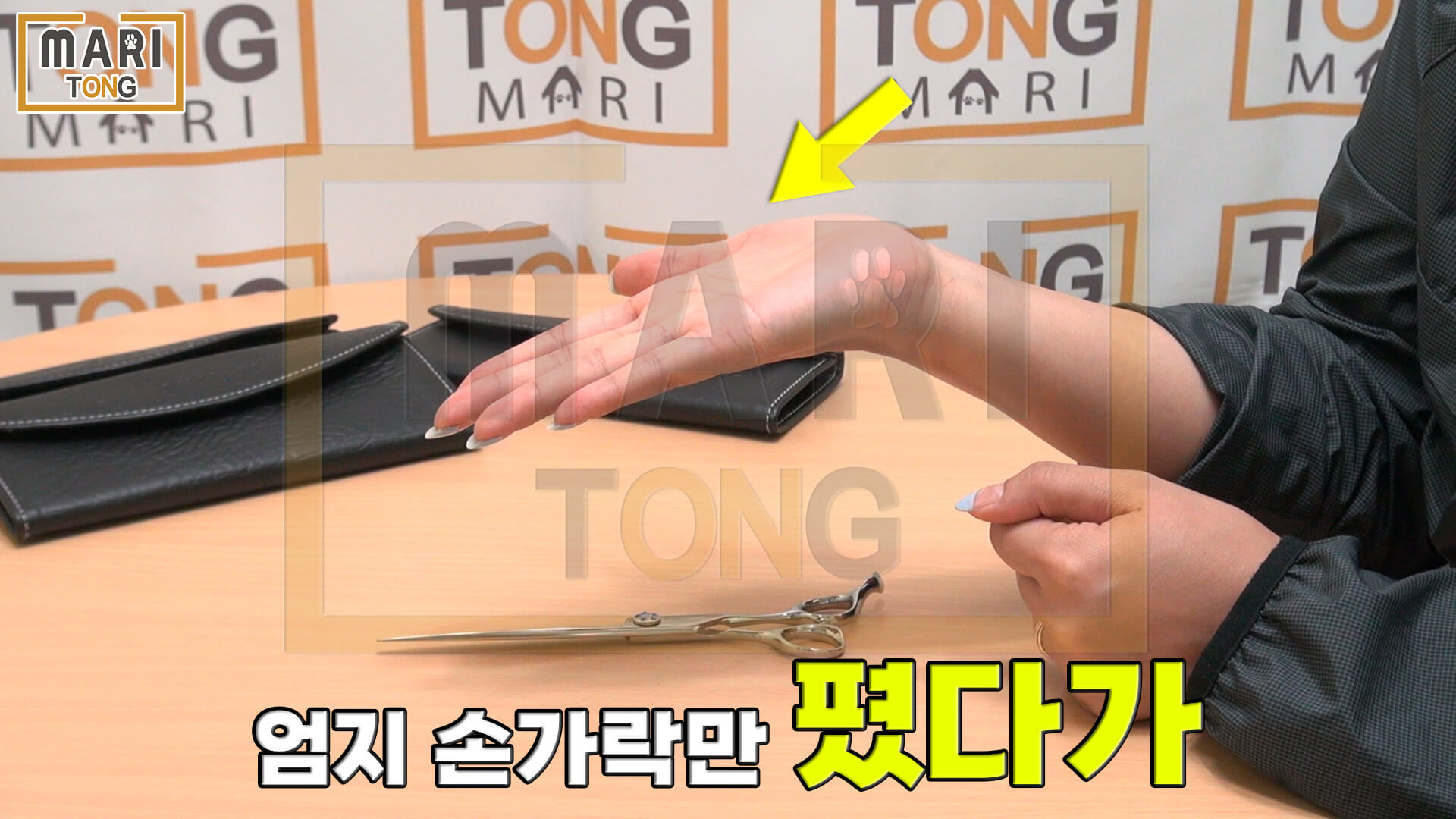 강아지 셀프미용 강아지 미용 가위 사용 방법