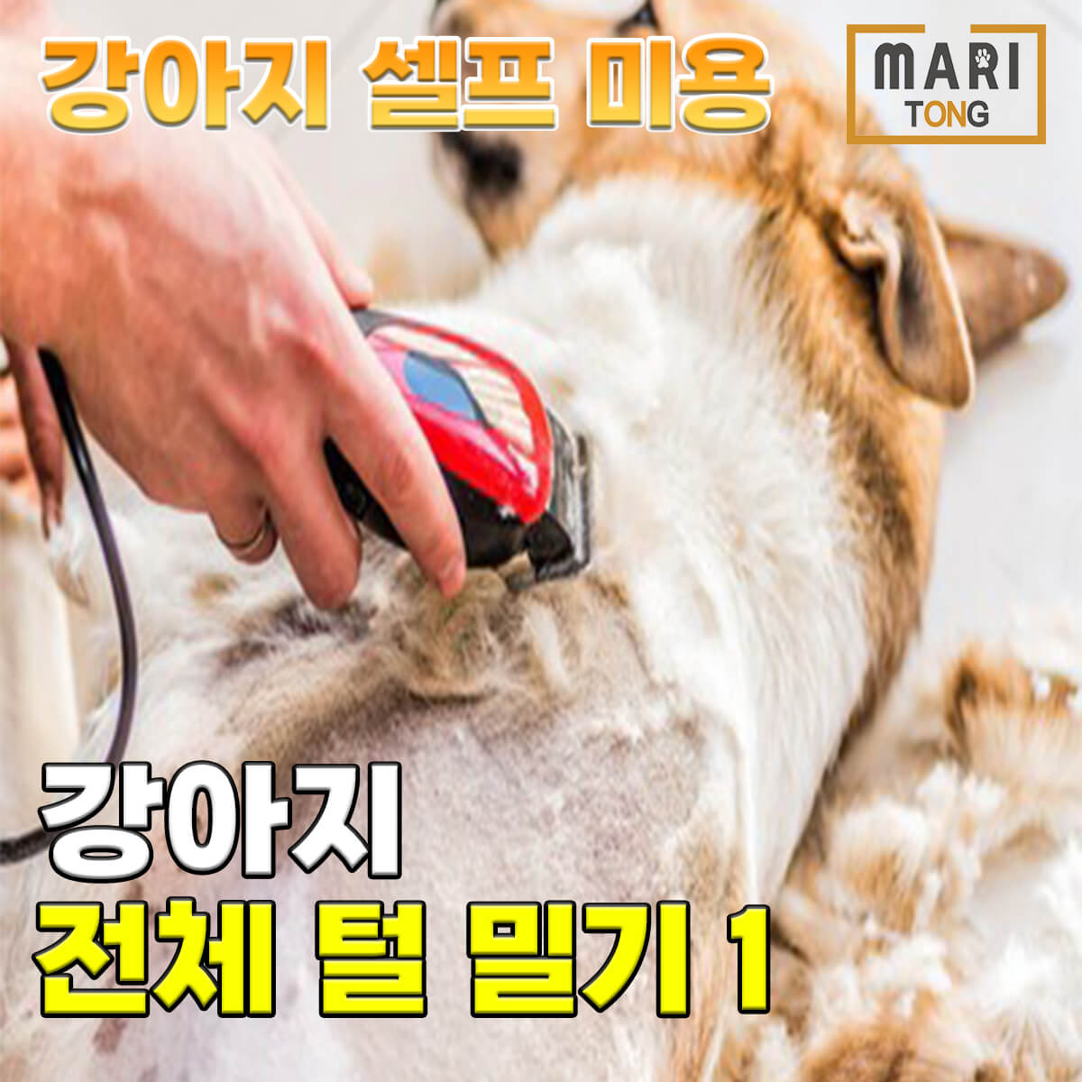 강아지 셀프미용 마리통 9503