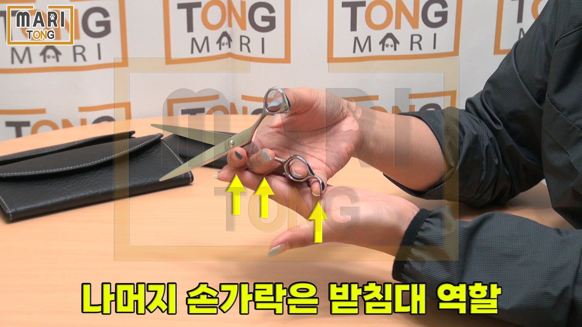  강아지 미용 가위 사용 방법 꿀팁 3가지 - 마리통 Motiv 